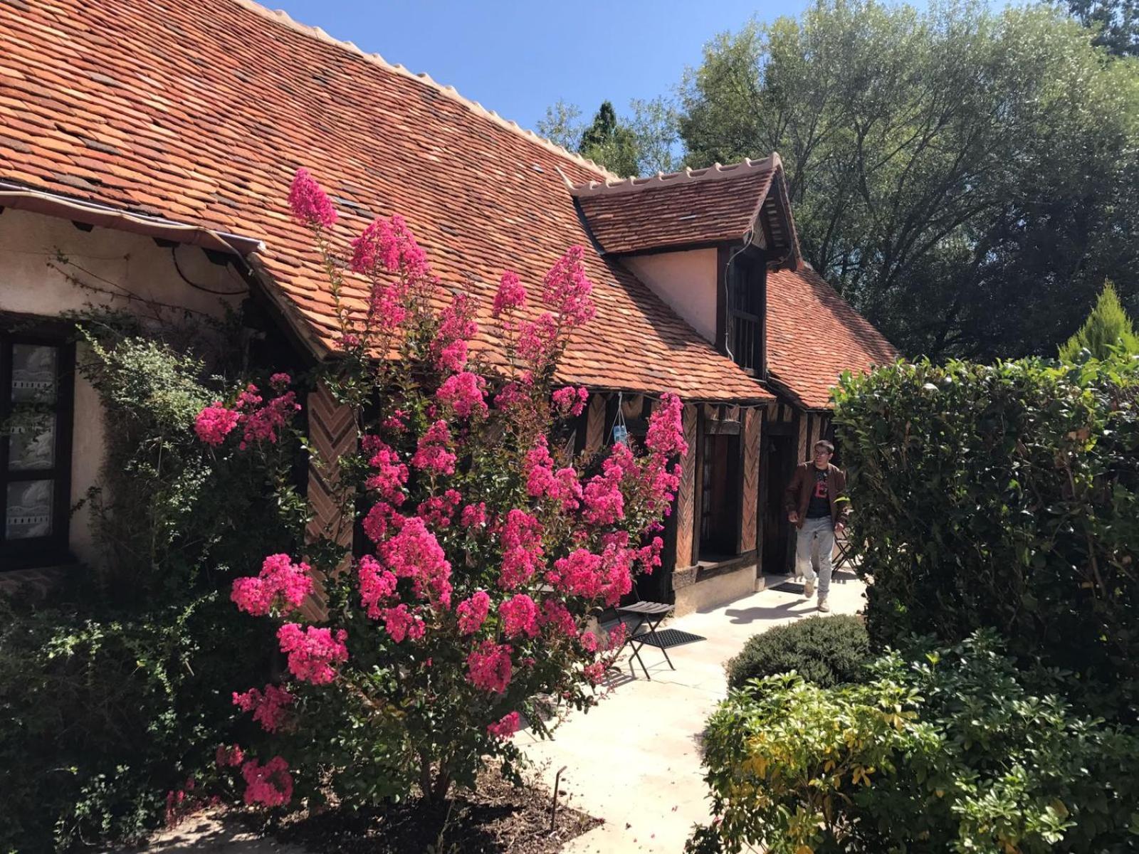 Domaine De Grand-Pas Villa Vernou-en-Sologne Kültér fotó
