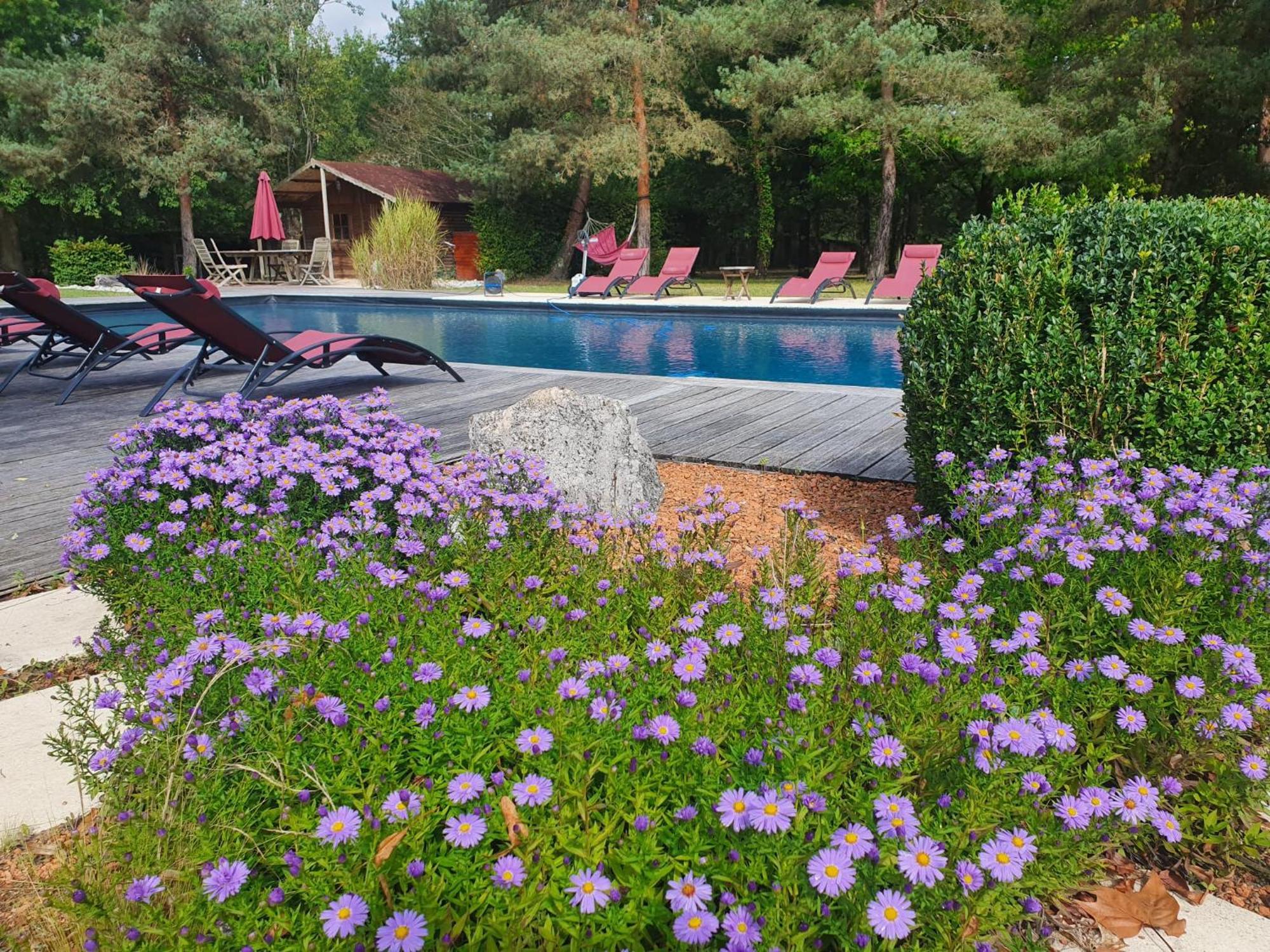 Domaine De Grand-Pas Villa Vernou-en-Sologne Kültér fotó