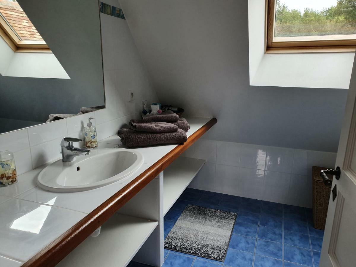 Domaine De Grand-Pas Villa Vernou-en-Sologne Kültér fotó